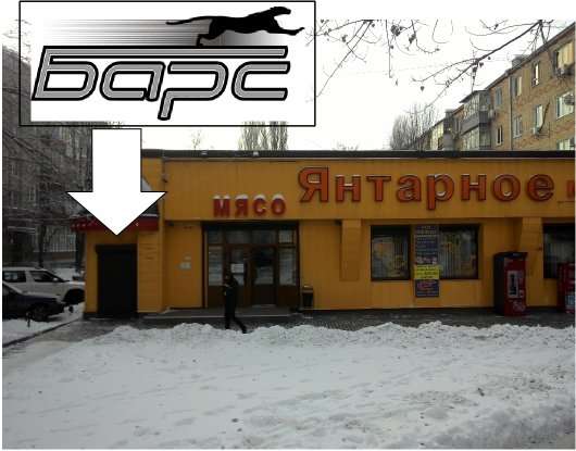 айболит аксай шолохова